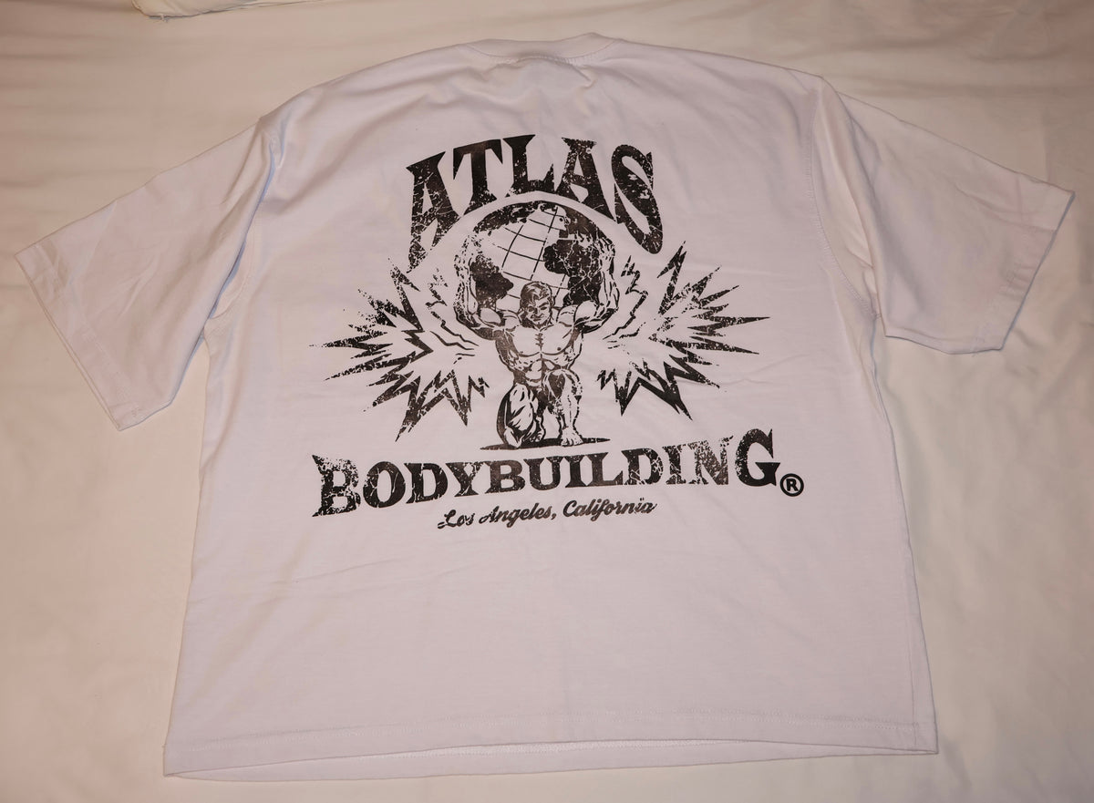 ATLAS EXPLOSION PUMP COVER T
